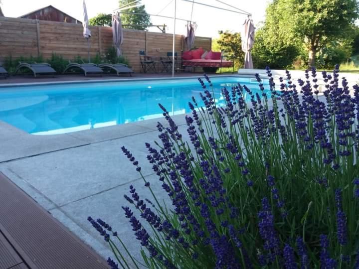 Chambres D Hotes ,Hotel ,Secret D'Une Nuit A Vicq Pres De Onnaing,Avec Piscine Kültér fotó